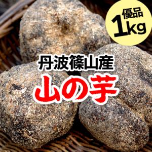 山の芋 期間限定 丹波 丹波篠山 令和5年産 新物 優品 1kg 箱入り｜countryside