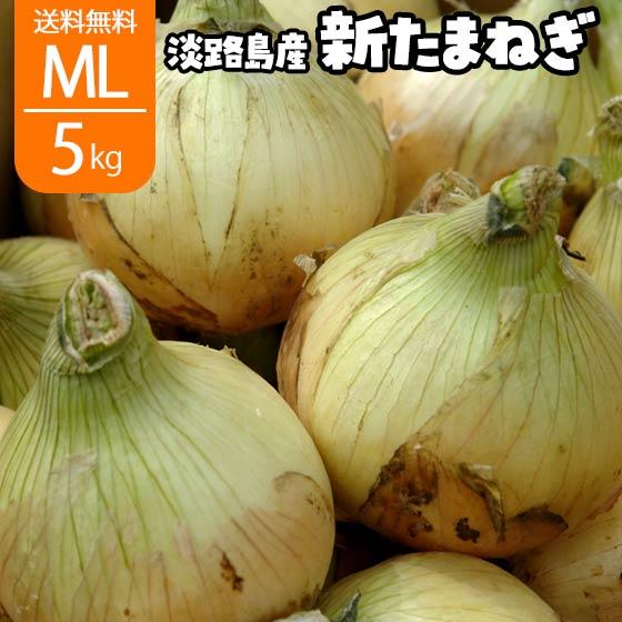 新玉ねぎ 訳あり 新タマネギ 5kg 淡路島 MLサイズ 大小混合 玉ねぎ 玉葱 新玉葱 新玉 サラ...