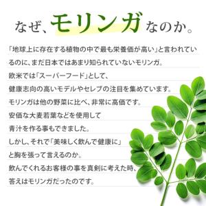 青汁 モリンガ 国産 乳酸菌 食物繊維 オリゴ...の詳細画像2