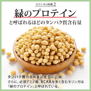 青汁 モリンガ 国産 乳酸菌 食物繊維 オリゴ...の詳細画像4