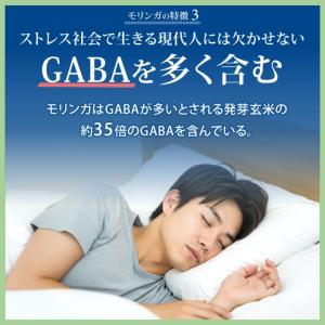 青汁 モリンガ 国産 乳酸菌 食物繊維 オリゴ...の詳細画像5