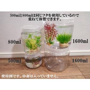 飼育容器ケース500ml 5個セット（昆虫、カブトムシ、クワガタ、メダカ