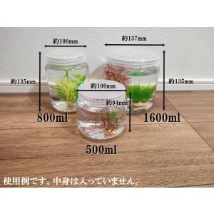 1600ml昆虫飼育ケース（幼虫、昆虫、カブトムシ、クワガタ飼育ケース