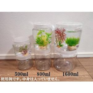 1600ml昆虫飼育ケース（幼虫、昆虫、カブトムシ、クワガタ飼育ケース