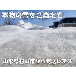 本物の雪の販売（村山市の雪をクール冷凍便にて発送します。）