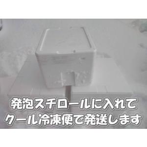 本物の雪の販売(村山市の雪をクール冷凍便にて発...の詳細画像1
