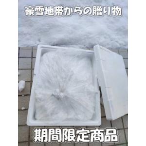 本物の雪の販売(村山市の雪をクール冷凍便にて発...の詳細画像2