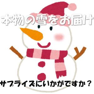 本物の雪の販売(村山市の雪をクール冷凍便にて発...の詳細画像4
