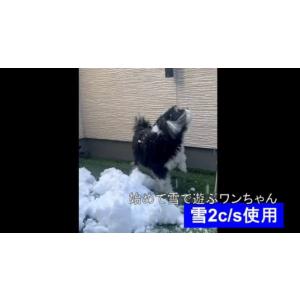 本物の雪の販売(村山市の雪をクール冷凍便にて発...の詳細画像3