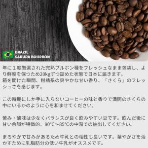 コーヒー豆 さくらブルボン 2026 200g...の詳細画像1