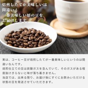 コーヒー豆 さくらブルボン 2026 200g...の詳細画像3