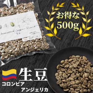 コーヒー生豆　ブラジル　トミオフクダ　5kg コーヒー 生豆 お得な 500g ブラジル トミオフクダ ドライオンツリー