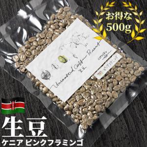 コーヒー 生豆 お得な 500g ブラジル トミオフクダ ドライオンツリー