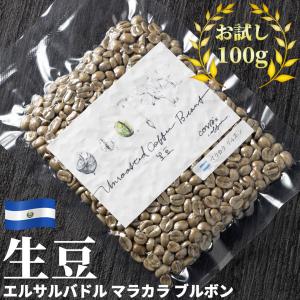 コーヒー 生豆 お得な 500g ブラジル トミオフクダ ドライオンツリー