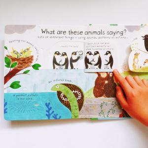 How do animals talk?|英語...の詳細画像2
