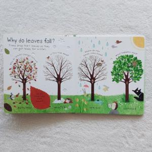 How do flowers grow?|英語...の詳細画像2