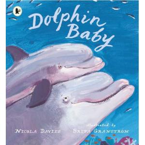 Dolphin Baby｜英語絵本 洋書 小学生 中学生 子ども 読み聞かせ 海外 学び 英語教材