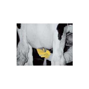 ベッセルタオル