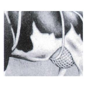 乳房カバー ネット 特大