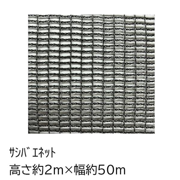 サシバエネット（高さ約3ｍ×長さ約50ｍ）