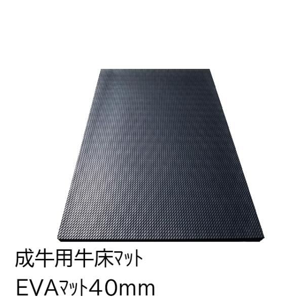 EVAマット 1220×1830×40