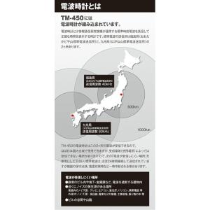 ウォッチ万歩計 DENPA MANPO sma...の詳細画像2