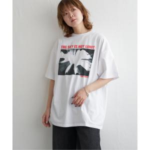 ベア天竺 ユニセックスモノクロTシャツの商品画像