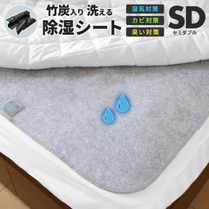 除湿シート 洗える セミダブル 110×180 竹炭入り 除湿マット 湿気取りシート湿気対策 吸湿マット 新生活