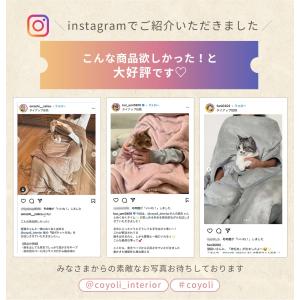 着る毛布 スマホタイムブランケット 猫ポケット...の詳細画像2
