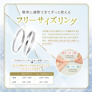 ペアリング フリーサイズ カップル お揃い 金...の詳細画像5