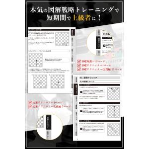 36p詳細ルールブック付 チェス 25cm×2...の詳細画像4