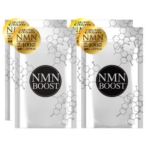 nanoDDS NMN-X NEXTversion Powder 30包 ニコチンアミドモノ
