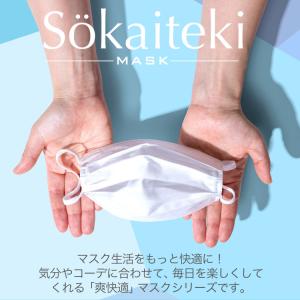 【クーポンでさらにお得】 マスク 不織布 不織...の詳細画像3