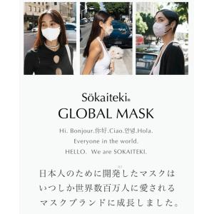 【クーポンでさらにお得】 マスク 不織布 立体...の詳細画像2