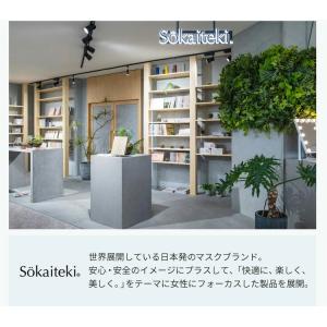 【クーポンでさらにお得】 マスク 不織布 立体...の詳細画像3