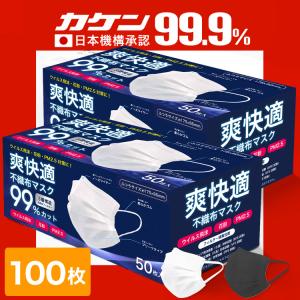 マスク 不織布 不織布カラーマスク オメガプリーツ 不織布 マスク カラー 小さめ 大きめ おしゃれ 平ゴム 50枚 爽快適 マスク 2箱 計100枚