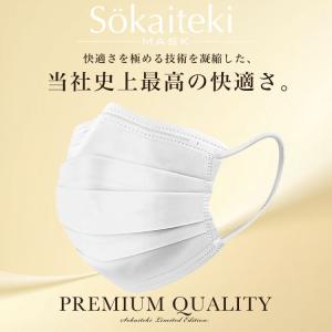 【クーポンでさらにお得】 マスク 不織布 不織...の詳細画像1