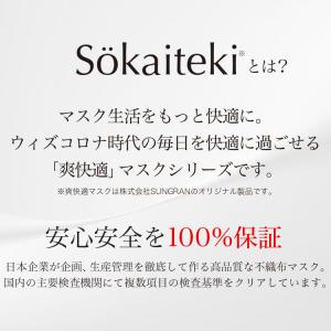 【クーポンでさらにお得】 マスク 不織布 不織...の詳細画像2