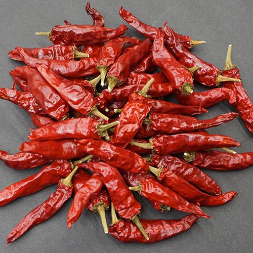 激辛 まぼろしの唐辛子 香川本鷹 乾燥 約50本 50g