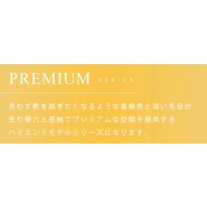 トヨタ 30系 ヴェルファイア フロアマット ...の詳細画像2