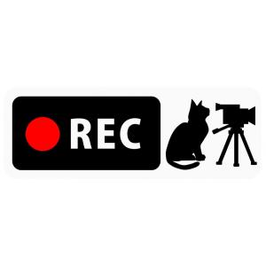 ドライブレコーダー搭載ステッカー 「猫とビデオカメラ」 Banner Type (背面の狭いSUV・...