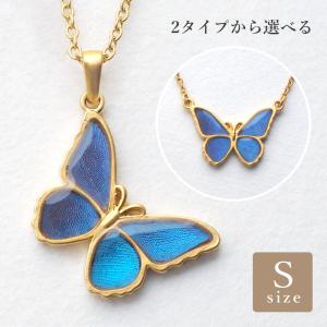 サンライズシェル ハワイの大自然が作り出した希少なサンライズシェル