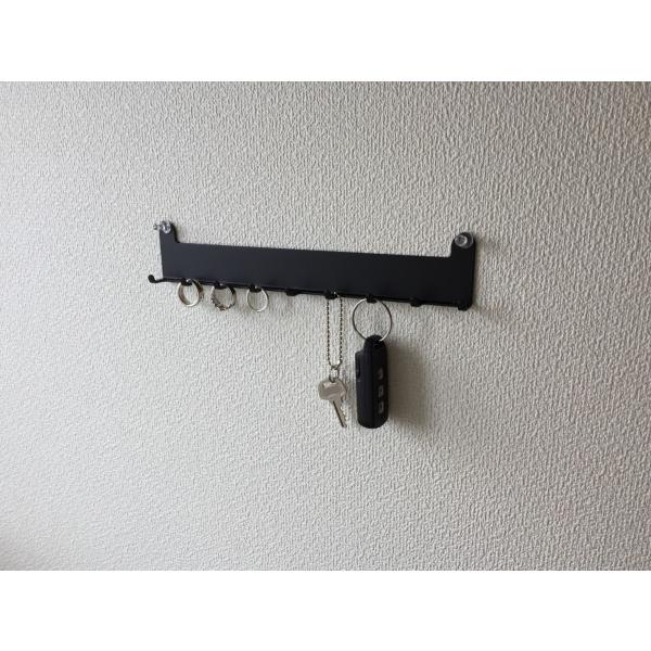 壁掛け　アクセサリー収納　C−type　キーフック　リング用　ブラック