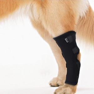 犬 関節 サポーター 膝 踵 ロング プロテク...の詳細画像4