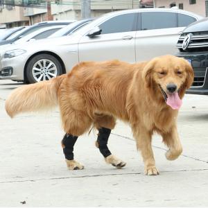犬 関節 サポーター 膝 踵 ロング プロテク...の詳細画像5