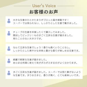 生ショウガ 国産生姜 1kg 産地直送 香り ...の詳細画像3