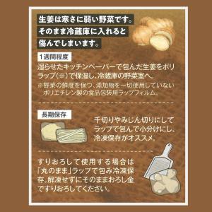 生ショウガ 国産生姜 1kg 産地直送 香り ...の詳細画像5
