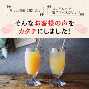 ジンジャーシロップ 国産 無添加 高知県産 生...の詳細画像4