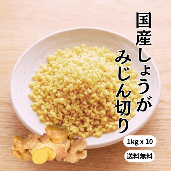 冷凍 みじん生姜 国産 1kgx10 送料無料 無添加 無着色 業務用 きざみ 刻み みじん みじん...