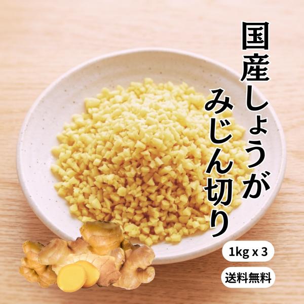 冷凍 みじん生姜 国産 1kgx3 送料無料 無添加 無着色 業務用 きざみ 刻み みじん みじん切...